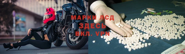 прущие крисы Белокуриха