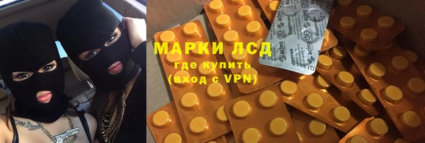 гашиш Богданович