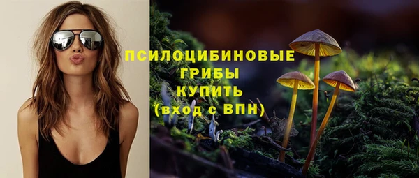 СК Беломорск