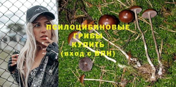 СК Беломорск