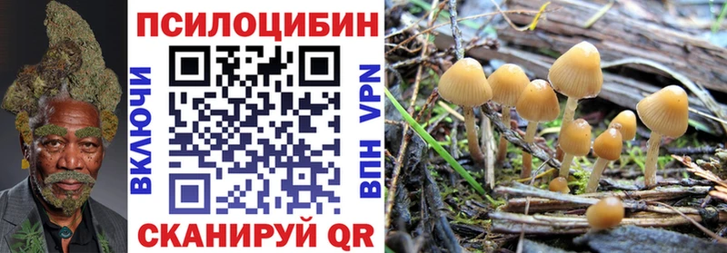 мега ссылка  дарнет шоп  Бокситогорск  Псилоцибиновые грибы ЛСД 